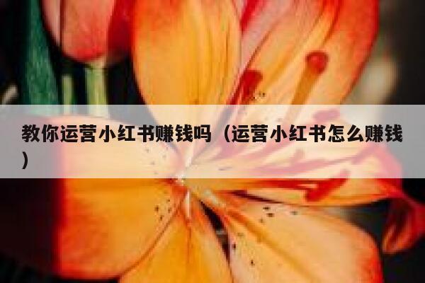 教你运营小红书赚钱吗（运营小红书怎么赚钱）