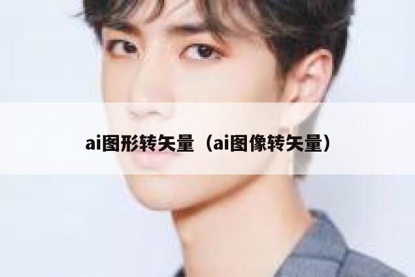 ai图形转矢量（ai图像转矢量）