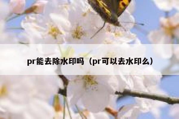 pr能去除水印吗（pr可以去水印么）