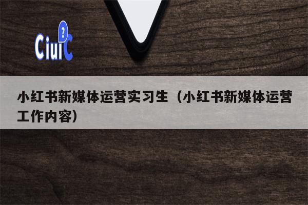 小红书新媒体运营实习生（小红书新媒体运营工作内容）