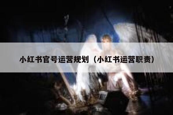 小红书官号运营规划（小红书运营职责）