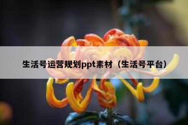 生活号运营规划ppt素材（生活号平台）