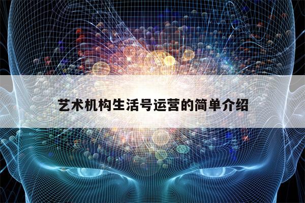 艺术机构生活号运营的简单介绍