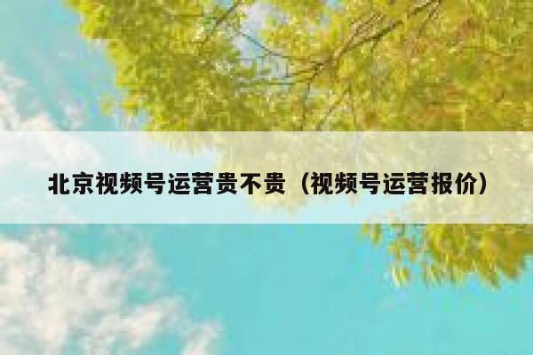 北京视频号运营贵不贵（视频号运营报价）