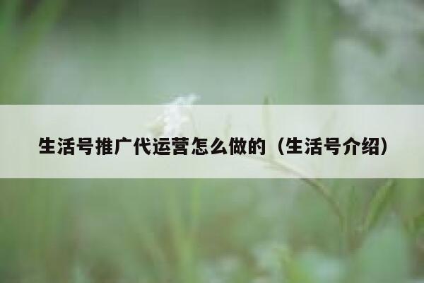 生活号推广代运营怎么做的（生活号介绍）