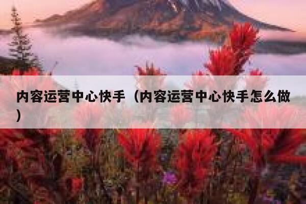 内容运营中心快手（内容运营中心快手怎么做）
