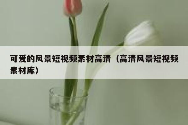 可爱的风景短视频素材高清（高清风景短视频素材库）