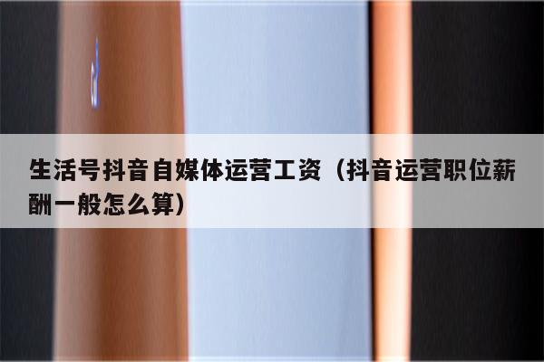 生活号抖音自媒体运营工资（抖音运营职位薪酬一般怎么算）
