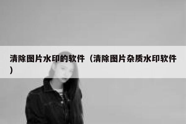 清除图片水印的软件（清除图片杂质水印软件）