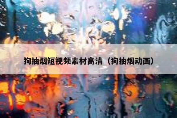 狗抽烟短视频素材高清（狗抽烟动画）