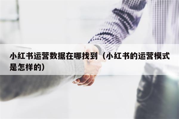 小红书运营数据在哪找到（小红书的运营模式是怎样的）
