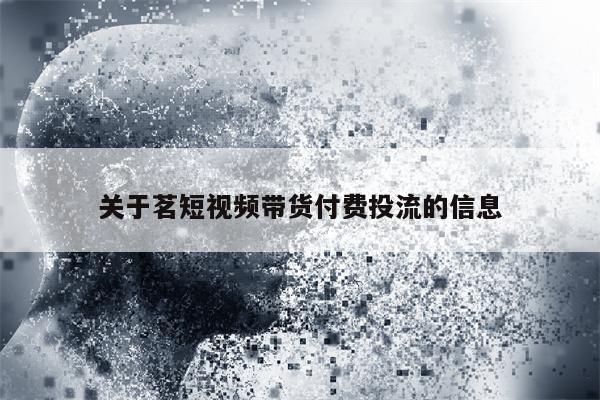 关于茗短视频带货付费投流的信息