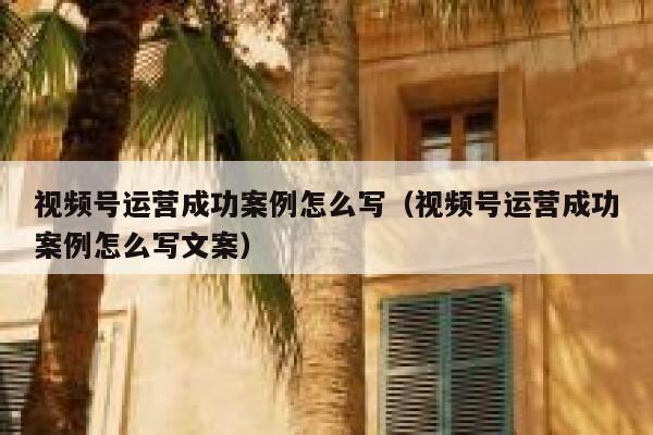 视频号运营成功案例怎么写（视频号运营成功案例怎么写文案）