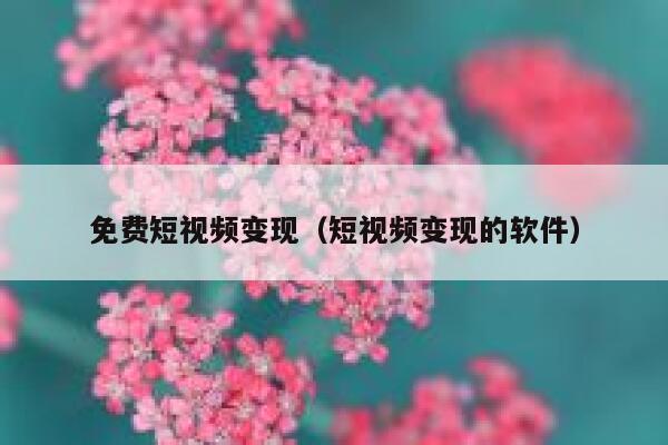 免费短视频变现（短视频变现的软件）