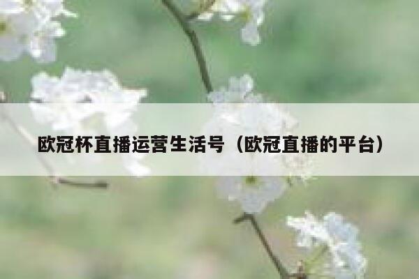 欧冠杯直播运营生活号（欧冠直播的平台）