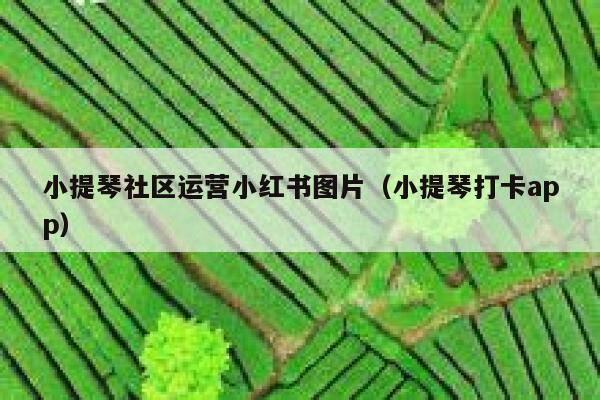 小提琴社区运营小红书图片（小提琴打卡app）