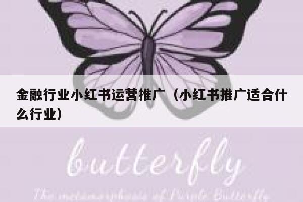 金融行业小红书运营推广（小红书推广适合什么行业）