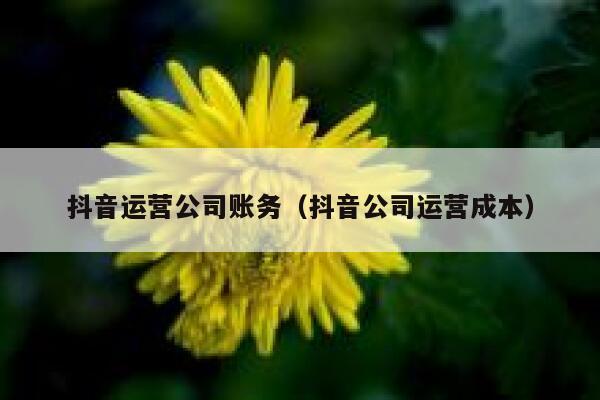 抖音运营公司账务（抖音公司运营成本）