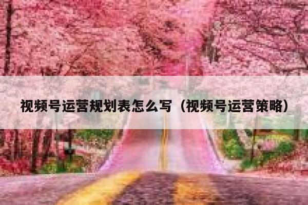 视频号运营规划表怎么写（视频号运营策略）