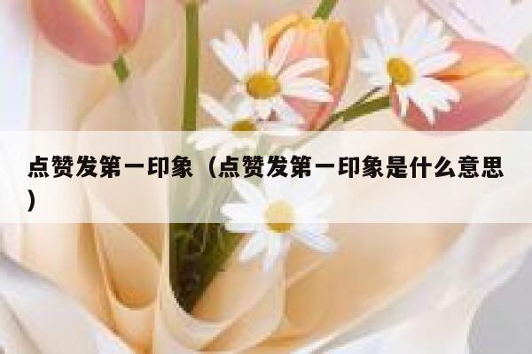 点赞发第一印象（点赞发第一印象是什么意思）