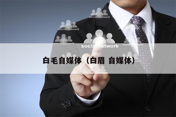 白毛自媒体（白眉 自媒体）