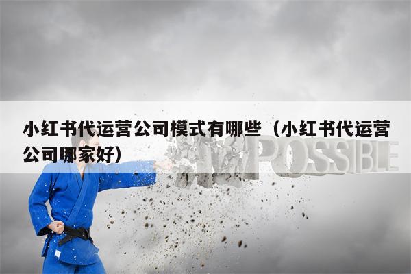 小红书代运营公司模式有哪些（小红书代运营公司哪家好）