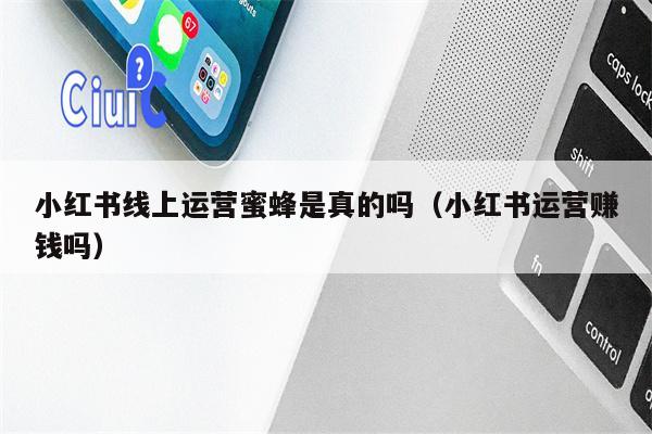 小红书线上运营蜜蜂是真的吗（小红书运营赚钱吗）