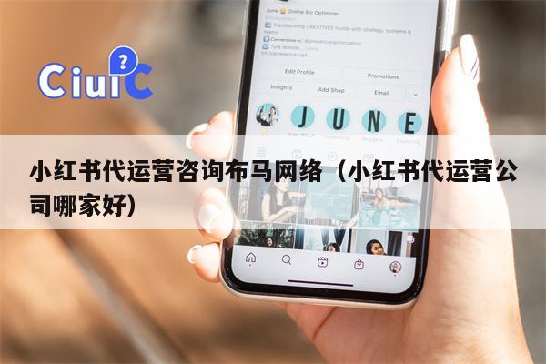 小红书代运营咨询布马网络（小红书代运营公司哪家好）