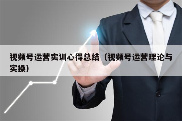 视频号运营实训心得总结（视频号运营理论与实操）