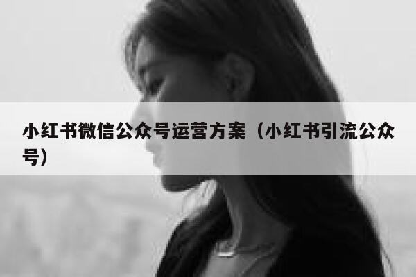小红书微信公众号运营方案（小红书引流公众号）