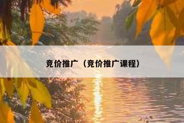 竞价推广（竞价推广课程）