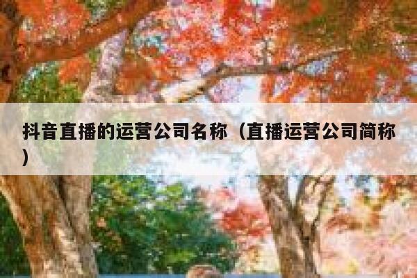 抖音直播的运营公司名称（直播运营公司简称）