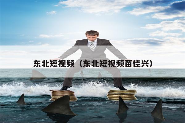 东北短视频（东北短视频苗佳兴）