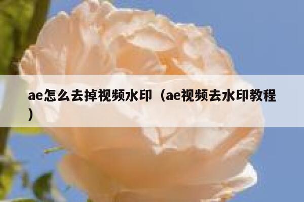 ae怎么去掉视频水印（ae视频去水印教程）