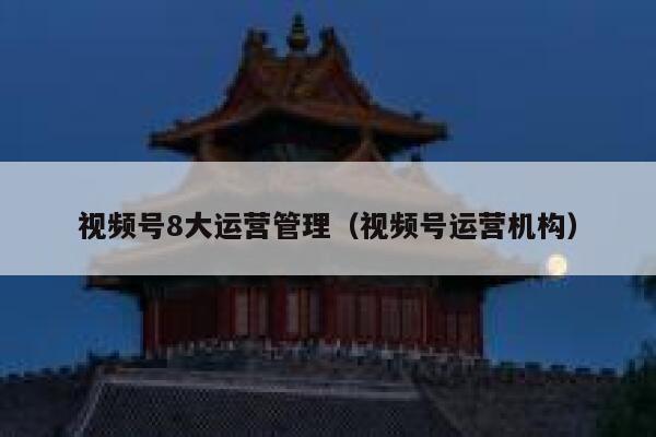 视频号8大运营管理（视频号运营机构）