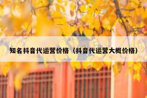 知名抖音代运营价格（抖音代运营大概价格）