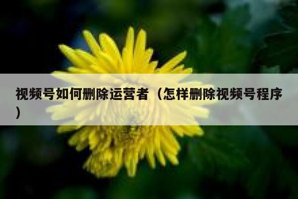 视频号如何删除运营者（怎样删除视频号程序）
