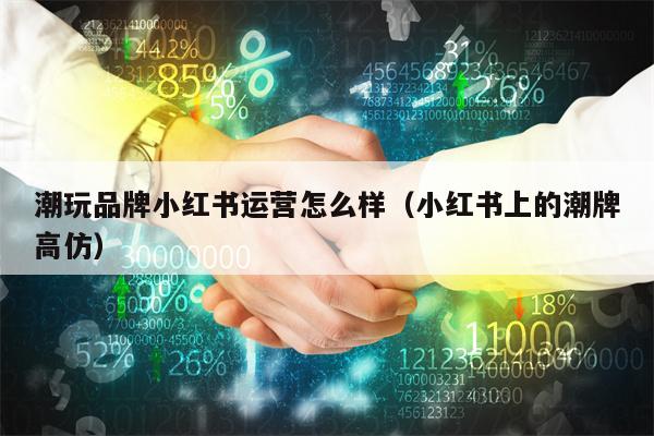 潮玩品牌小红书运营怎么样（小红书上的潮牌高仿）