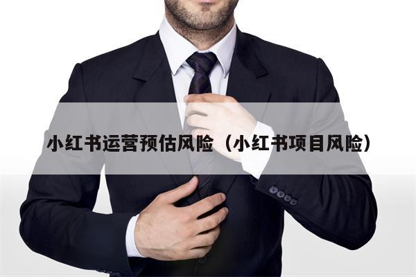 小红书运营预估风险（小红书项目风险）