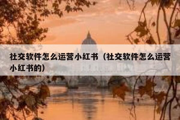 社交软件怎么运营小红书（社交软件怎么运营小红书的）