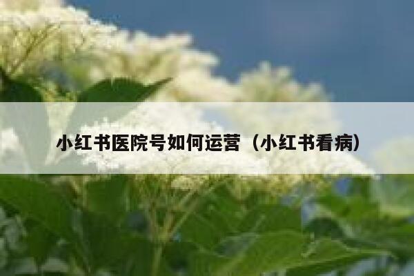 小红书医院号如何运营（小红书看病）