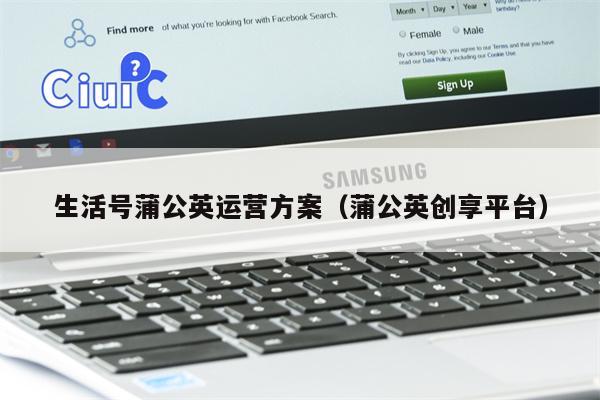 生活号蒲公英运营方案（蒲公英创享平台）