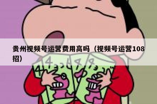 贵州视频号运营费用高吗（视频号运营108招）