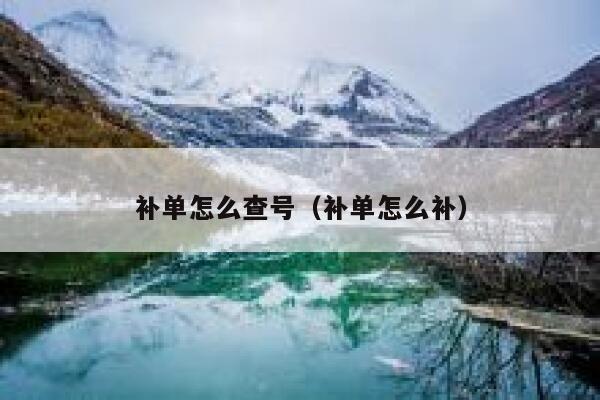 补单怎么查号（补单怎么补）