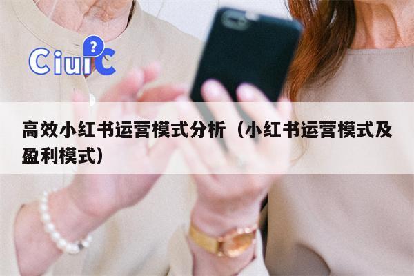 高效小红书运营模式分析（小红书运营模式及盈利模式）