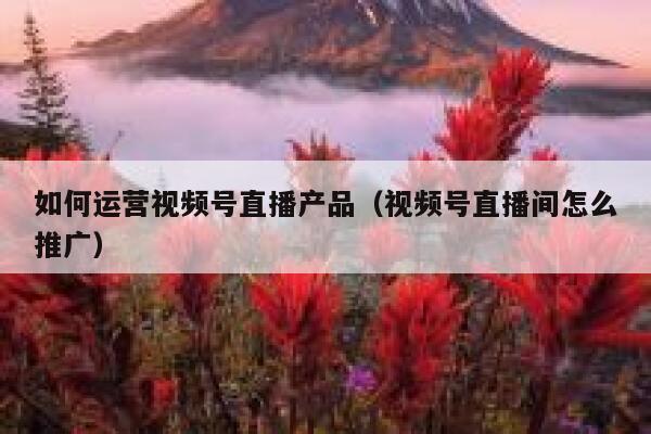 如何运营视频号直播产品（视频号直播间怎么推广）