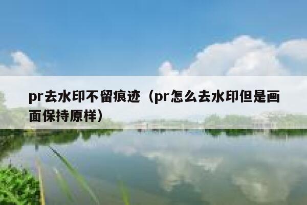 pr去水印不留痕迹（pr怎么去水印但是画面保持原样）