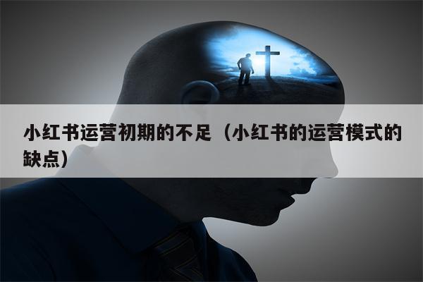 小红书运营初期的不足（小红书的运营模式的缺点）