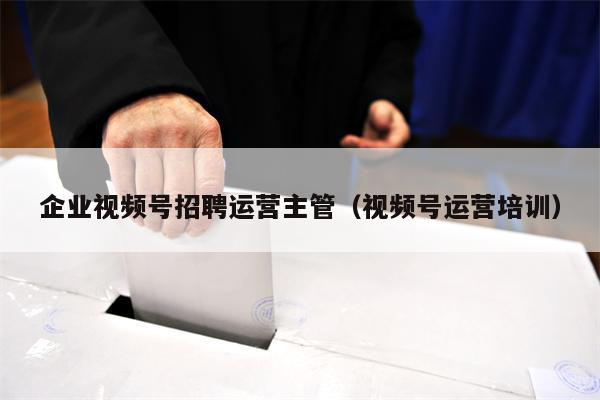 企业视频号招聘运营主管（视频号运营培训）