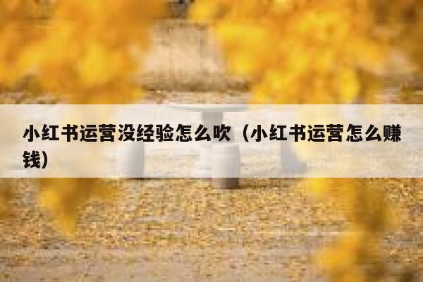小红书运营没经验怎么吹（小红书运营怎么赚钱）